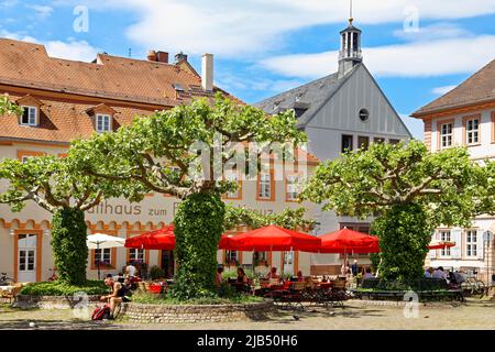 Gasthaus zum Eisernen Kreuz mit Gästen auf Sitzgelegenheiten im Freien mit Platanen (Platanus), frischem Grün und gemeinem Efeu (Hedera Helix) bewachsen, Baum Stockfoto