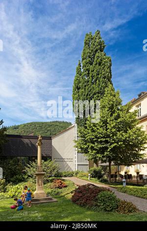 Garden Kurpfaelzisches Museum, Hauptstr. 97, Altstadt, Heidelberg, Kurpfalz, Baden-Württemberg, Deutschland Stockfoto