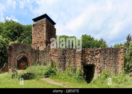 Burgruine Hinterburg, auch bekannt als Alt-Schadeck, Spornburg, 165 utricularia ochroleuca (ue.) (ue.) NN, erbaut um 1100, bei Neckarsteinach Stockfoto