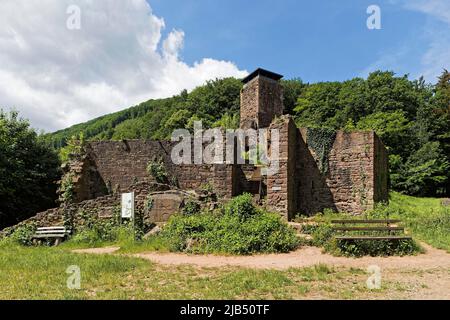 Burgruine Hinterburg, auch bekannt als Alt-Schadeck, Spornburg, 165 utricularia ochroleuca (ue.) (ue.) NN, erbaut um 1100, bei Neckarsteinach Stockfoto