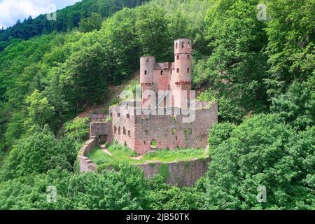 Luftaufnahme, Schloss Schadeck, auch bekannt als Schwalbennest, Ruine einer mittelalterlichen Burg auf einem Hügel auf einem felsigen Gelände bei 190 utricularia ochroleuca (ue.) Stockfoto