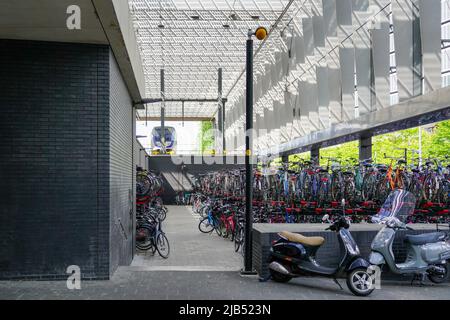 Fahrradpark mit Fahrrädern am 25. Mai 2022 am Hauptbahnhof Rotterdam, Niederlande. Stockfoto