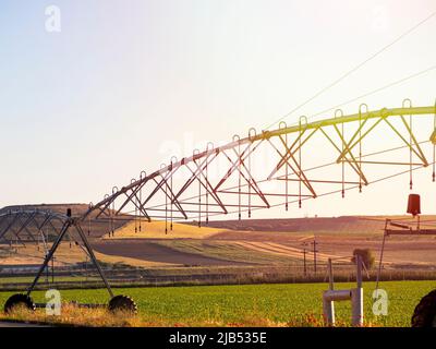 Bewässerungssystem in ökologischen Keimling landwirtschaftlichen Pflanzen Stockfoto