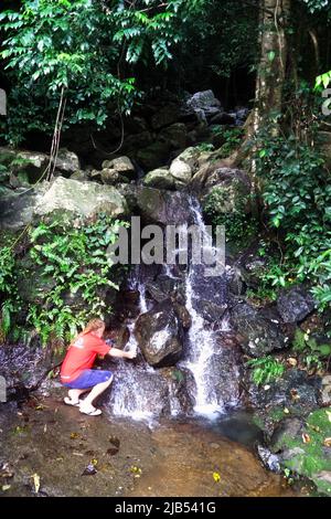 Füllen Sie die Wasserflasche aus einem Regenwald-Wasserfall, Barron Gorge National Park, Cairns, Queensland, Australien. Nein, MR Stockfoto