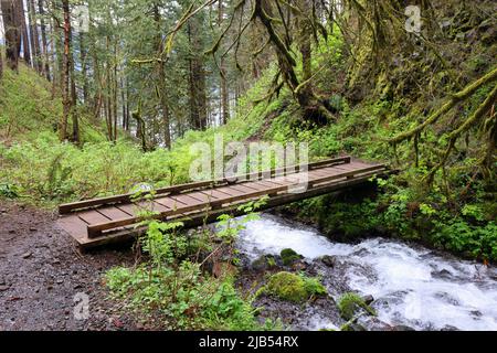 Eine einfache Fußgängerbrücke über einen Bach auf dem Wahkeena Trail in Multnomah Falls, Columbia River Gorge National Scenic Area, Oregon. Stockfoto