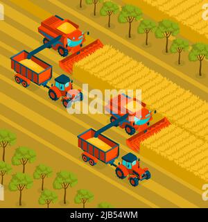 Landwirtschaftlicher isometrischer Hintergrund mit Vektordarstellung „Mähdrescher und Traktor ernten Getreide in Getreidefeldern“ Stock Vektor