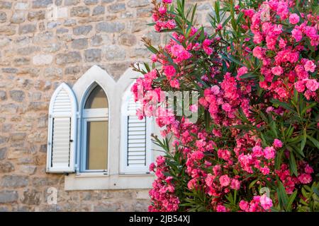 Die Altstadt von Budva, Montenegro. Die erste Erwähnung der Stadt - mehr als 26 Jahrhunderten. Wir sehen alte Häuser, eine sehr schmale Straße, Cafés, Geschäfte. Stockfoto