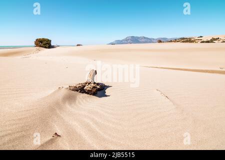 Malerisches Panorama mit goldenen Sanddünen, beleuchtet von den Strahlen der untergehenden Sonne und den blauen Bergen am Horizont. Reiseziele in Patara und Tur Stockfoto