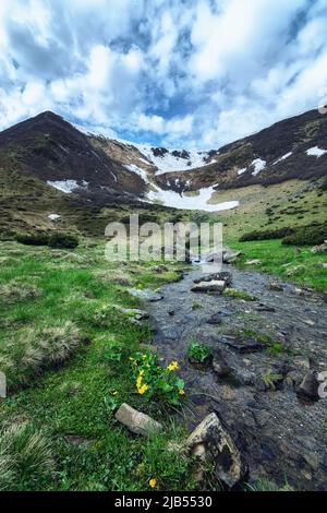 Gebirgsfluss im Hochland, grüne Hänge der ukrainischen Karpaten, noch schneebedeckte Berge des Swydiwez-Massivs, ein Bergsee und ein Stockfoto