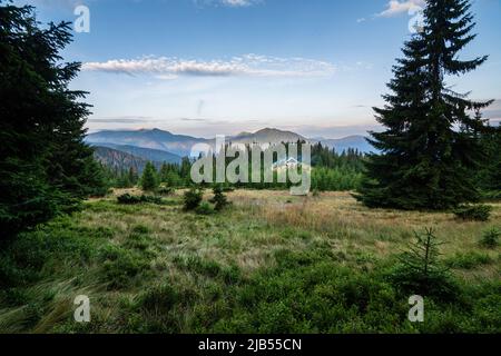 Nebliger Morgen in den Karpaten, Ukraine. Altes Holzhaus in den Bergen. Fichtenwald in den ukrainischen Karpaten. Stockfoto