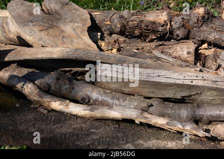 Alte Baumstämme liegen übereinander im Gras Stockfoto