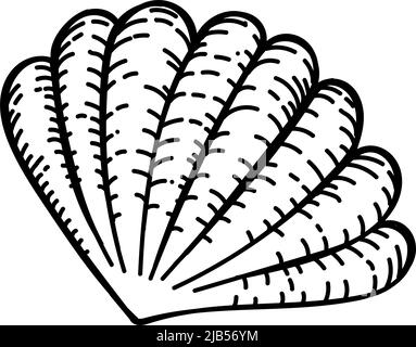 Seashell, ein handgezeichneter Sketch-Doodle. Dekorelement. Weißer Hintergrund. Isoliert. Meeresbewohner. Sommer. Meer. Flaches Design. Vektor einfache Illust Stock Vektor