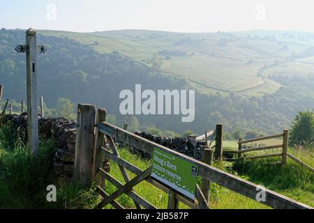 WEAG's Barn Stockfoto