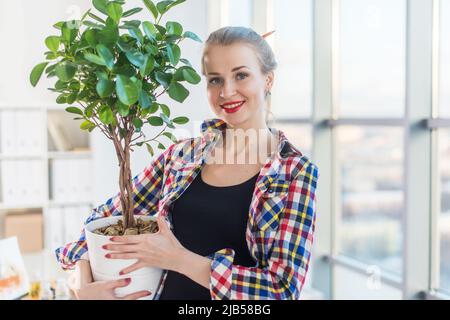 Weibliche Innenarchitektin trägt dekorative Pflanze, hält Topf. Vorderansicht Porträt des Floristen Blick auf den Baum in einem großen hellen Raum Stockfoto