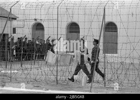 ARCHIVFOTO: Vor 55 Jahren, am 5. Juni 1967, begann der sechs-Tage-Krieg, arabische Gefangene im Arieh NIR Gefängnis stehen hinter Stacheldraht im Gefängnishof, sie haben ihren zweitägigen Hofgang von einer halben Stunde, im Vordergrund patrouillieren zwei israelische Soldaten, Der sechs-Tage-Krieg zwischen Israel und den arabischen Staaten Ägypten, Jordanien und Syrien dauerte vom 5.. Juni bis 10.. Juni 1967, Foto nicht genau datiert c. 14.. Juni 1967, Schwarzweiß-Foto, Stockfoto