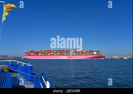 Hafen von rotterdam ( maasvlakte ), niederlande - 2022-05-14: japanisches Containerschiff ein blauer jay (imo# 9741372 / 139335 dwt / 14026 Teu) im Beerkanaal Stockfoto