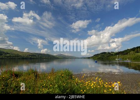 Bala Lake/Llyn Trgid im Snowdonia National Park, WALES, Großbritannien Stockfoto