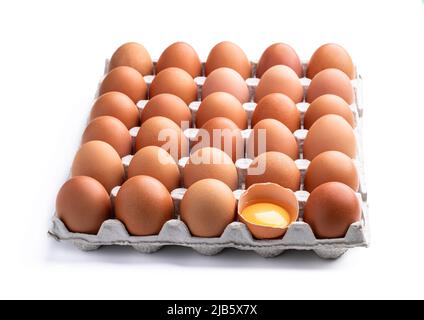 Eier in Papptablett anbraten, wobei ein zerrissenes auf Weiß isoliert ist Stockfoto