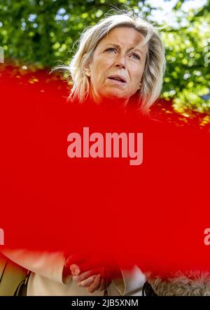 Den Haag, Niederlande. 3.. Juni 2022. 2022-06-03 10:16:22 DEN HAAG - Verteidigungsminister Kajsa Ollongren bei der Ankunft am Binnenhof für den wöchentlichen Ministerrat. ANP ROBIN UTRECHT netherlands Out - belgium Out Credit: ANP/Alamy Live News Stockfoto
