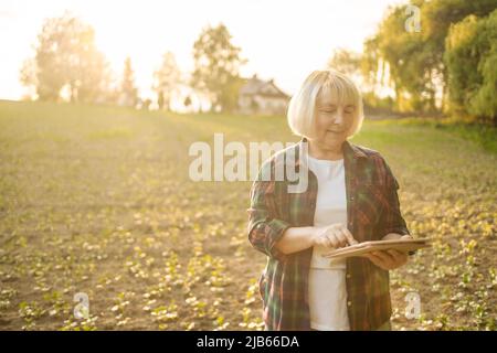 Intelligente Landwirtschaft. Landwirt auf dem Feld hält Tablet. Grüne Weizenfelder Landschaft. Stockfoto