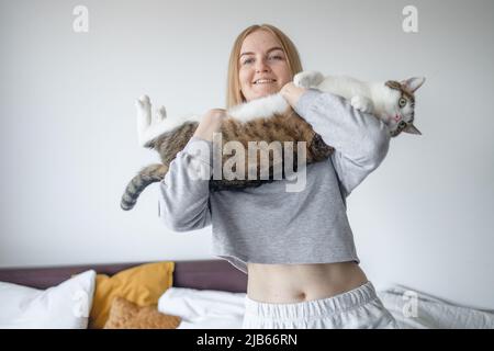 Weibliche Hände in Sport-Heimkleidung halten eine große Katze mit Tabby zu Hause Stockfoto