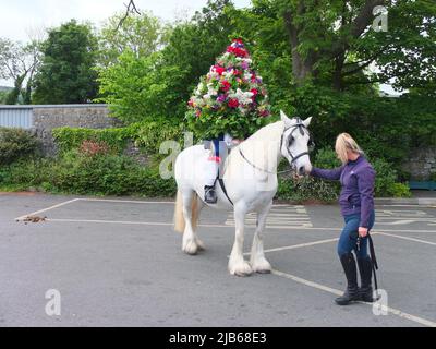 Der König der Castleton Garland mit einem Kranz aus Blumen reitet zu Pferd durch das Dorf während der alten Castleton Garland Ceremony 2022 Stockfoto