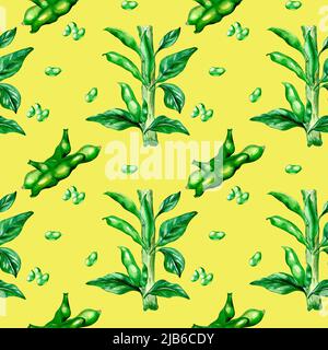 Pflanzen Sie grüne Bohnen, Haricot Aquarell nahtlose Muster isoliert. Grüne Blätter, Bohnen, Hülse, Hülse, Samen, Gemüse. Handbemalt für Design-Menü, Wrapp Stockfoto