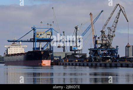 Rostock, Deutschland. 03.. Juni 2022. Im Seehafen wird der Frachter „Zagreb“ entladen und bringt 62.000 Tonnen russische Steinkohle für das Steinkohlekraftwerk an der Ostsee. Der Frachter soll vorerst das letzte Schiff sein, das Steinkohle aus Russland liefert. Die gelieferte Menge sowie die gelagerten Kohle sollten ausreichen, bis das von der EU verhängte Importverbot am 10. August 2022 in Kraft tritt. Quelle: Bernd Wüstneck/dpa/Alamy Live News Stockfoto