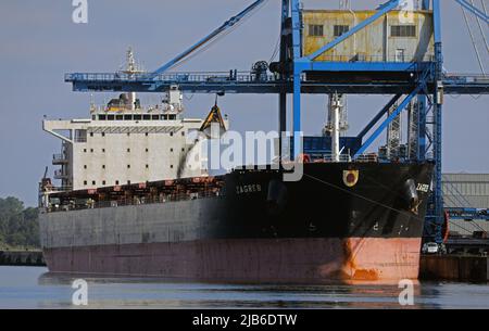 Rostock, Deutschland. 03.. Juni 2022. Im Seehafen wird der Frachter „Zagreb“ entladen und bringt 62.000 Tonnen russische Steinkohle für das Steinkohlekraftwerk an der Ostsee. Der Frachter soll vorerst das letzte Schiff sein, das Steinkohle aus Russland liefert. Die gelieferte Menge sowie die gelagerten Kohle sollten ausreichen, bis das von der EU verhängte Importverbot am 10. August 2022 in Kraft tritt. Quelle: Bernd Wüstneck/dpa/Alamy Live News Stockfoto