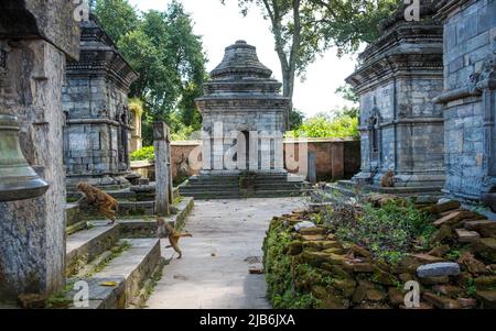 Pashupatinath Tempel Komplex in Kathmandu Stockfoto