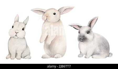 Kleine Hasen auf einem isolierten weißen Hintergrund, Aquarell-Illustration, niedliches Waldtier, osterhase, Kaninchen Stockfoto