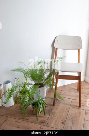 Modernes Wohnzimmer mit gemütlichem Stuhl und Topfblumen auf dem Boden. Stockfoto