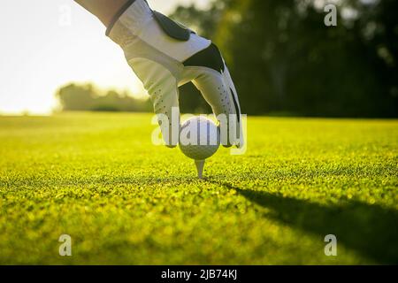 Golfspieler mit Handschuhen, der den Golfball auf einem Abschlag auf dem Golfplatz platziert Stockfoto