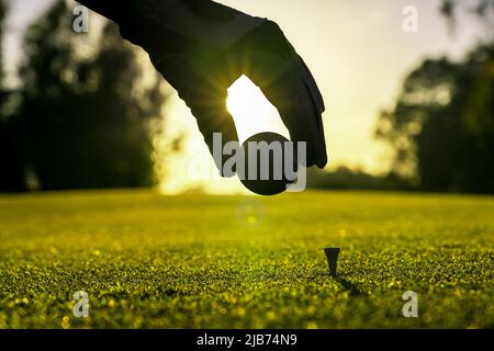 Golfspieler mit Handschuhen, der den Golfball auf einem Abschlag auf dem Golfplatz platziert Stockfoto