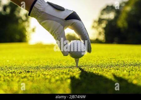 Hand des Golfspielers mit Handschuh, der den Golfball auf einem Abschlag auf dem Golfplatz mit Sonnenlicht auf dem Hintergrund platziert Stockfoto