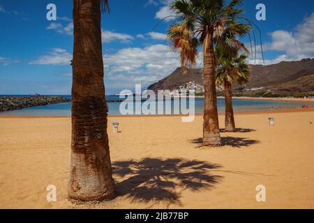 Am Strand von Las Teresitas, einem künstlichen, weißen Sandstrand, der sich nördlich des Dorfes San Andrés, Santa Cruz de Teneriffa, Spanien, befindet Stockfoto