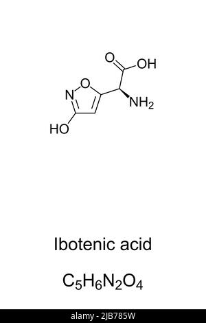 Ibotensäure, Flugagargift, chemische Formel und Struktur. Wird als Ibotenat bezeichnet, ein psychoaktives Medikament, das natürlich bei Amanita Muscaria vorkommt. Stockfoto