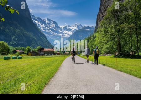 Radfahrer und Wanderer auf einem asphaltierten Weg mit verschneiten Schweizer Alpen im Vordergrund, Lauterbrunnen, Kanton Bern, Schweiz Stockfoto