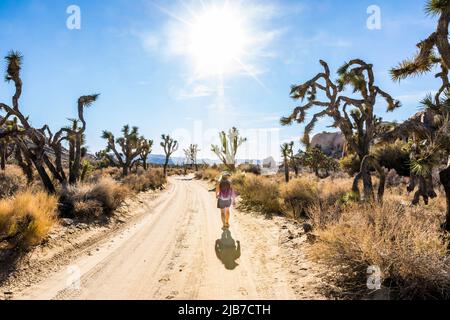 Eine Frau, die eine unbefestigte Straße im Joshua Tree National Park entlang geht. Stockfoto