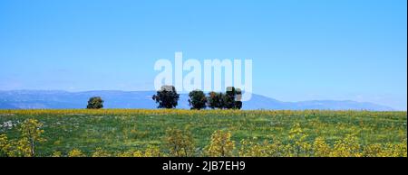 Panoramablick auf den See Shabania in den Golanhöhen mit Blick auf eine grüne Ebene und eine Bergkette in der Ferne. Eine hohe Auflösung. Stockfoto