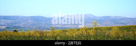 Panoramablick auf den See Shabania in den Golanhöhen mit Blick auf eine grüne Ebene und eine Bergkette in der Ferne. Eine hohe Auflösung. Stockfoto