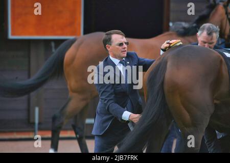 Epsom Downs, Surrey, Großbritannien. 3.. Juni 2022. Gewinner-Trainer Aidan OÕBrien streift einen seiner Läufer - die Algarve - im Paradering vor dem Cazoo Oaks Classic Pferderennen.Quelle: Motofoto/Alamy Live News Stockfoto