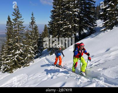 Skitouren in den Siebenbürgischen Alpen, Fagaras-Bergen, Rumänien, Europa Stockfoto