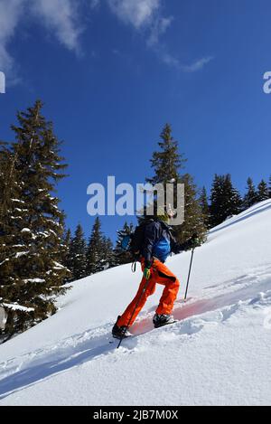 Skitouren in den Siebenbürgischen Alpen, Fagaras-Bergen, Rumänien, Europa Stockfoto
