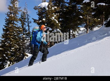Skitouren in den Siebenbürgischen Alpen, Fagaras-Bergen, Rumänien, Europa Stockfoto