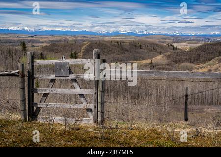 Ein altes Holztor mit Blick auf die sanften Hügel und die kanadischen Rocky Mountains im Glenbow Ranch Provincial Park Alberta Canada. Stockfoto