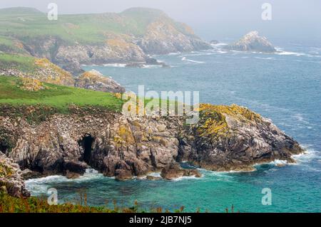 Blick von oben auf die Saltee-Inseln in Wexford Ireland an einem sonnigen Tag. Stockfoto