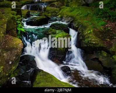Kleiner Fluss, der zwischen Felsen hinunterfließt. Stockfoto