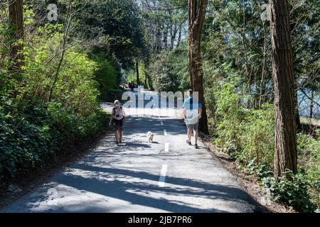 Burnaby, BC, Kanada - April 18 2021 : Menschen wandern auf dem Deer Lake Park Trail. Burnaby, BC, Kanada. Stockfoto