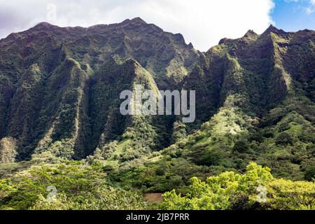 Steile vulkanische Berge von Oahu, Hawaii Stockfoto